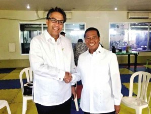 Interior Secretary Mar Roxas and Vice President Jejomar Binay FILE PHOTOS