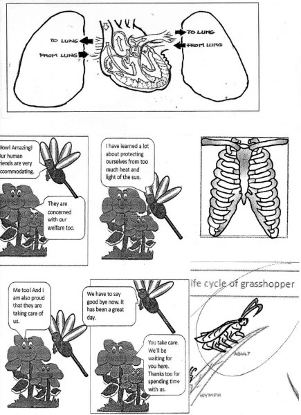 SOME of the illustrations in the “Science Learner’s Material”