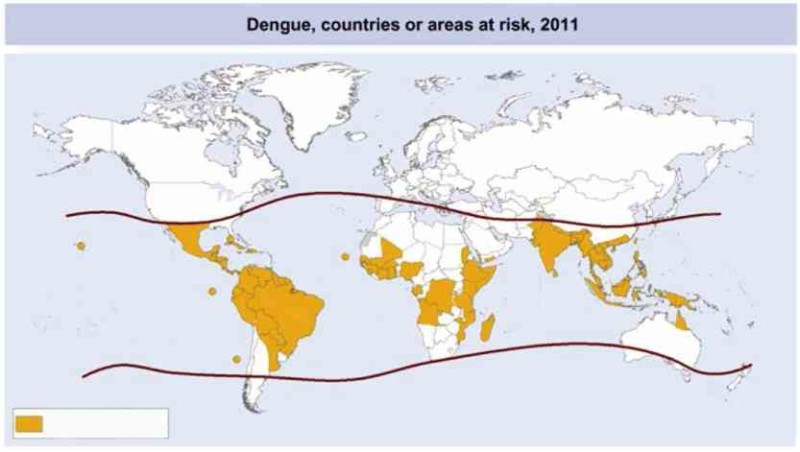 dengue-areas