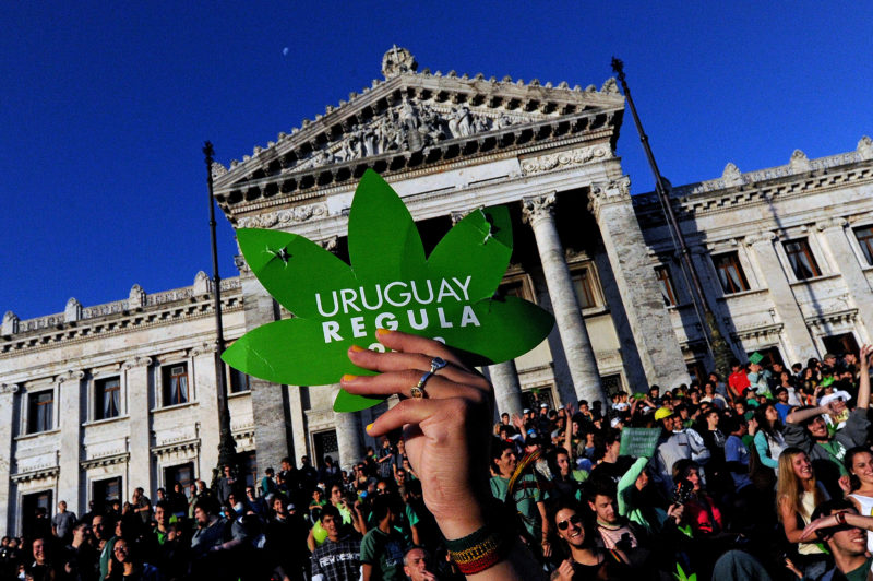 People take part in a demo for the legalization of marijuana in front of the Legislative Palace in Montevideo, on December 10, 2013, as the Senate discusses a law on the legalization of marijuana's cultivation and consumption. AFP